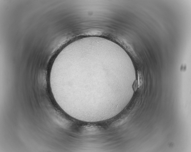X0000093610300200711051224