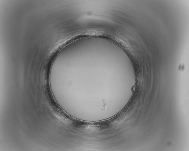 X0000093610303200711051224
