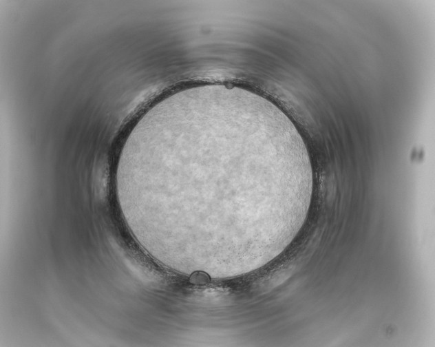 X0000093610304200711051224