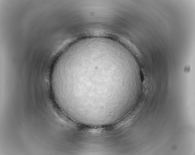 X0000093610306200711051224