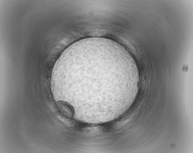 X0000093610307200711051224