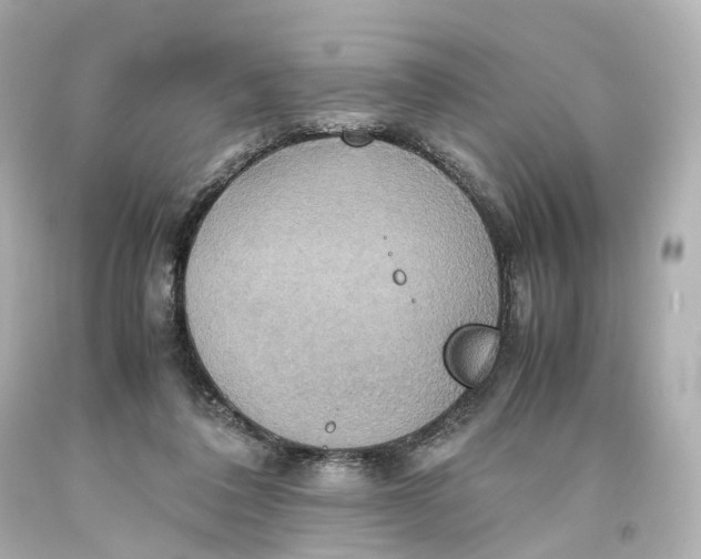 X0000093610308200711051224
