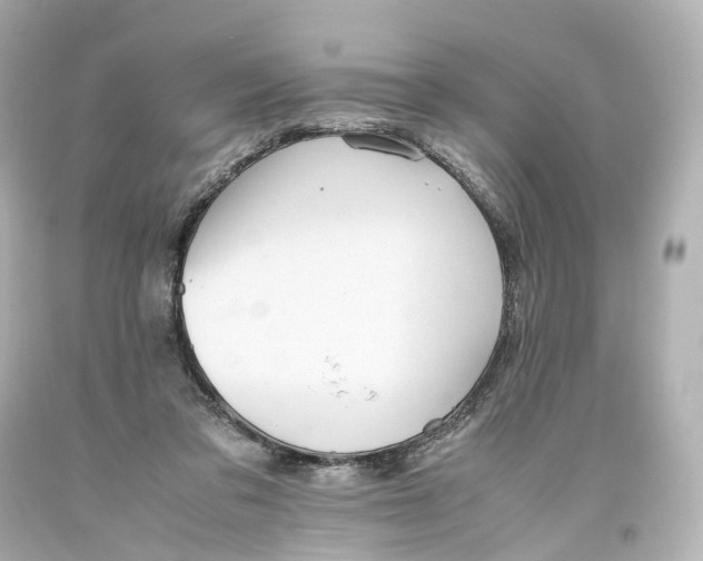 X0000093610309200711051224