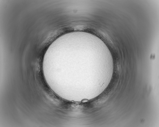 X0000093610311200711051224