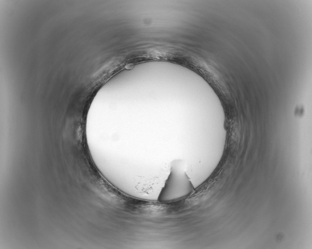 X0000093610313200711051224