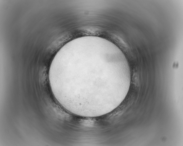 X0000093610318200711051224
