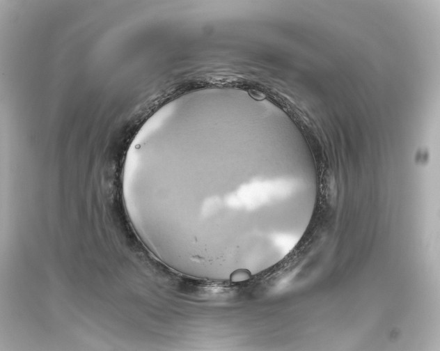 X0000093610319200711051224