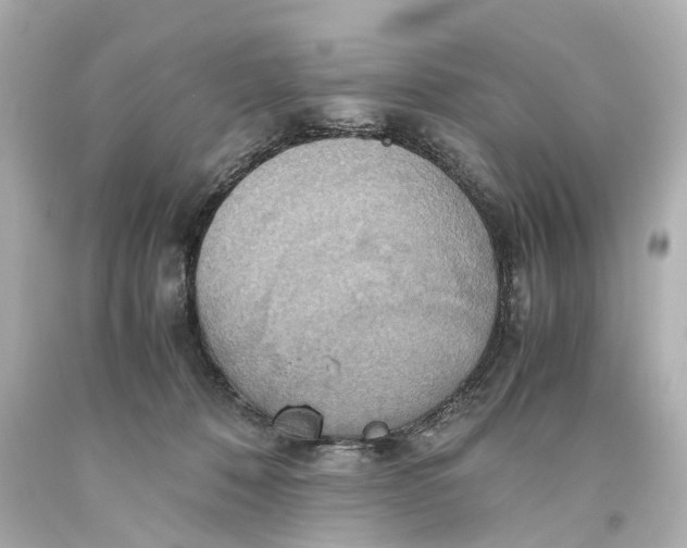 X0000093610320200711051224