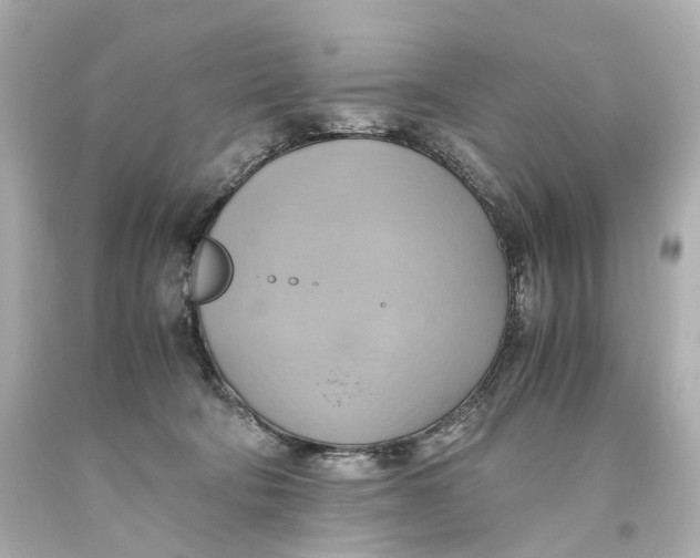 X0000093610322200711051224