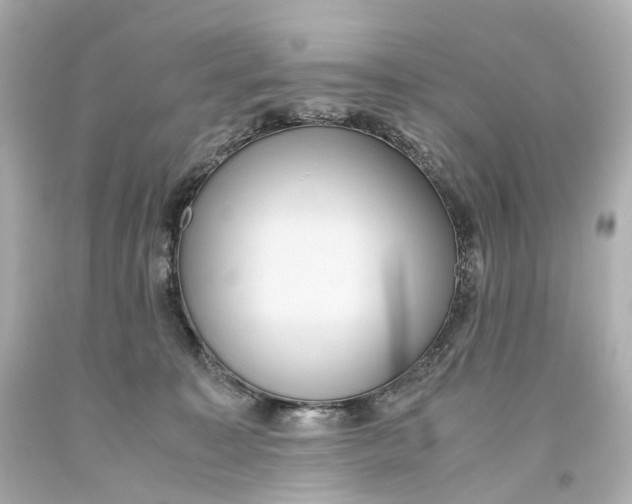 X0000093610323200711051224