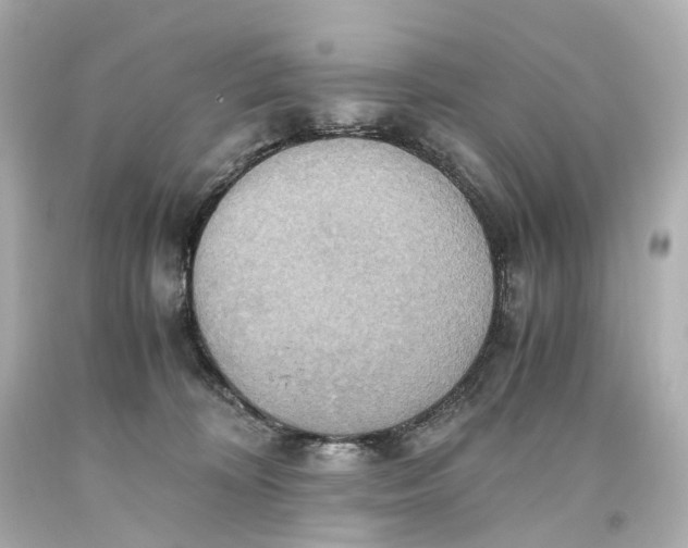 X0000093610324200711051224