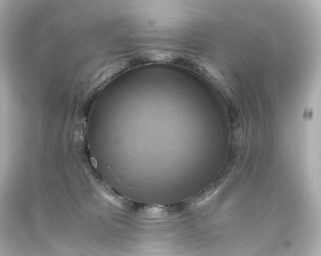 X0000093610325200711051224