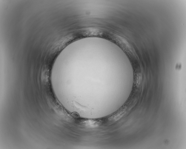 X0000093610326200711051224