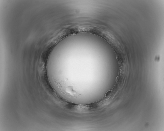 X0000093610327200711051224
