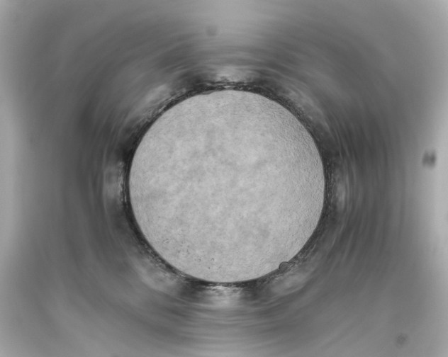 X0000093610328200711051224