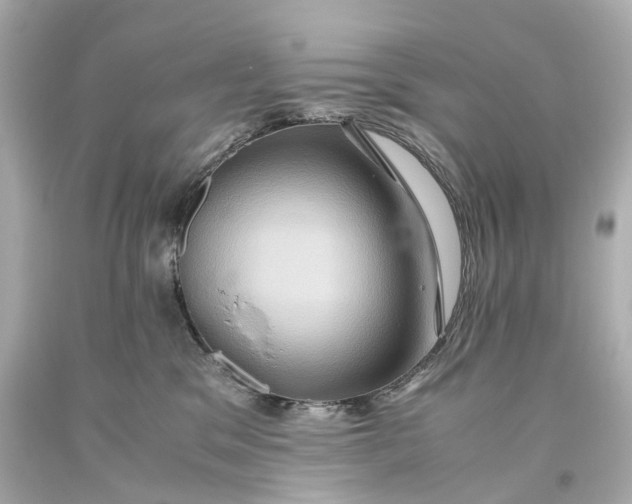 X0000093610329200711051224