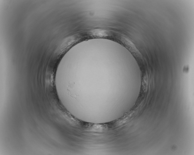 X0000093610330200711051224