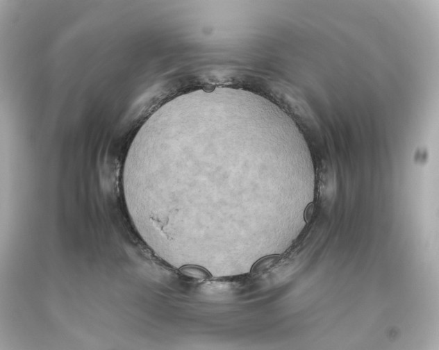 X0000093610332200711051224