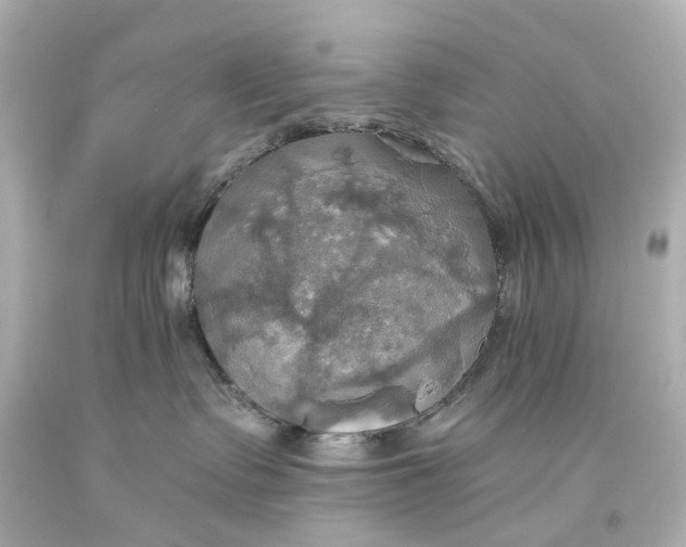 X0000093610335200711051224