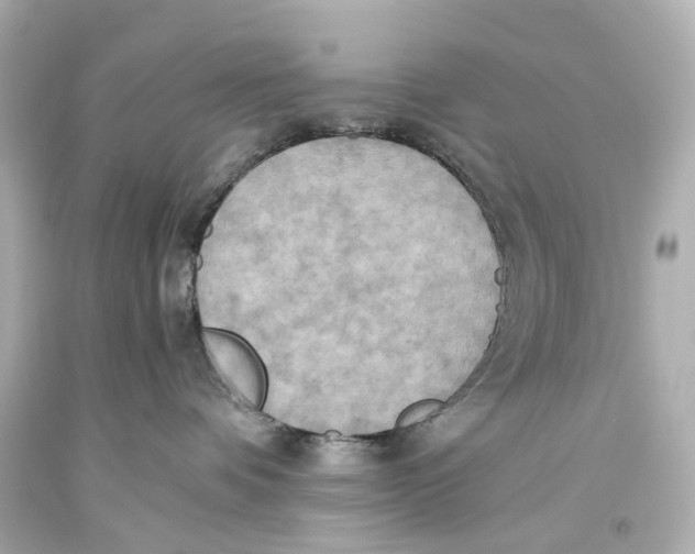 X0000093610336200711051224