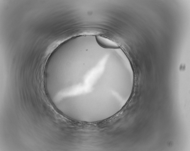 X0000093610337200711051223