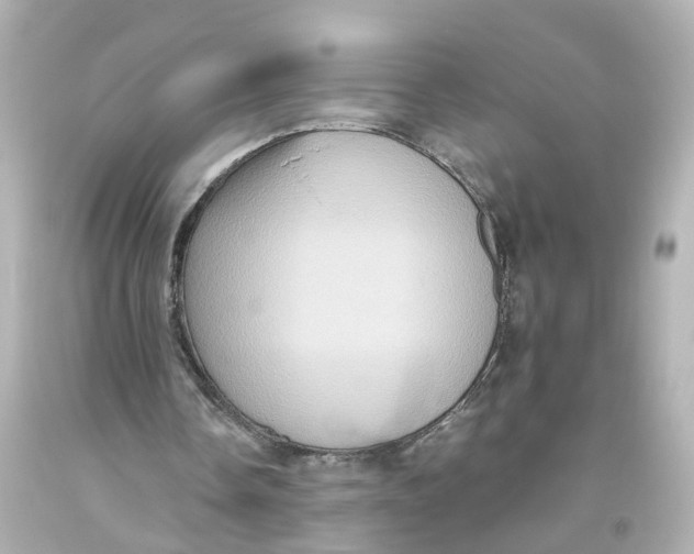 X0000093610338200711051223