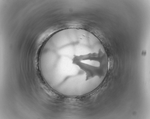 X0000093610339200711051223