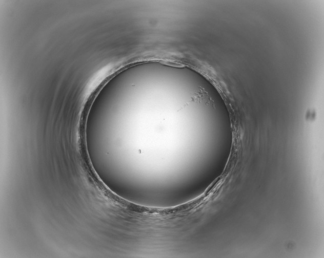 X0000093610340200711051223