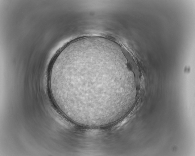 X0000093610342200711051223
