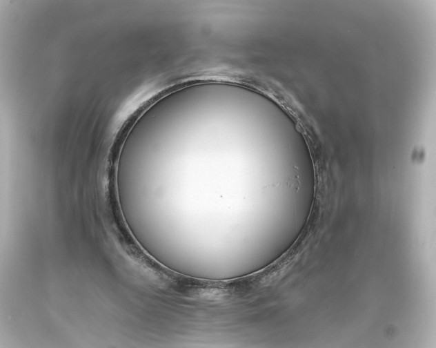 X0000093610344200711051224