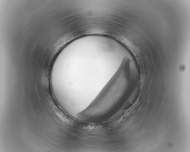 X0000093610345200711051224