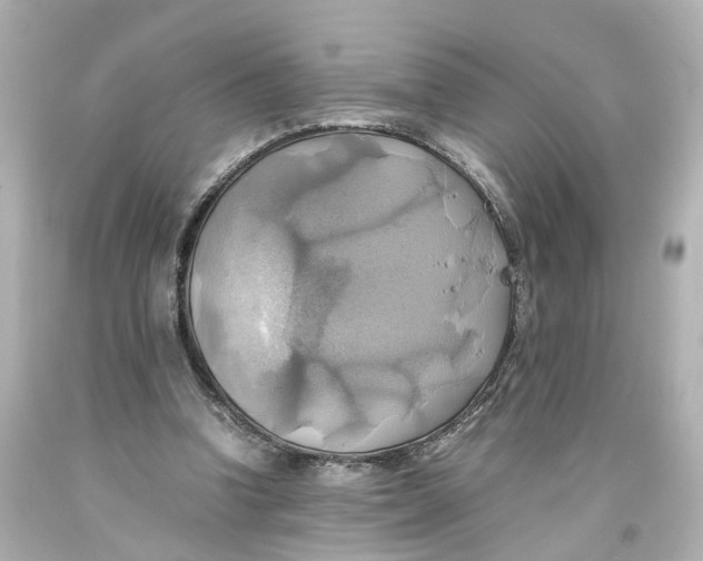 X0000093610346200711051224