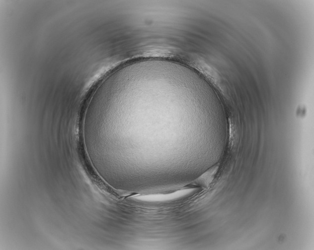 X0000093610348200711051224