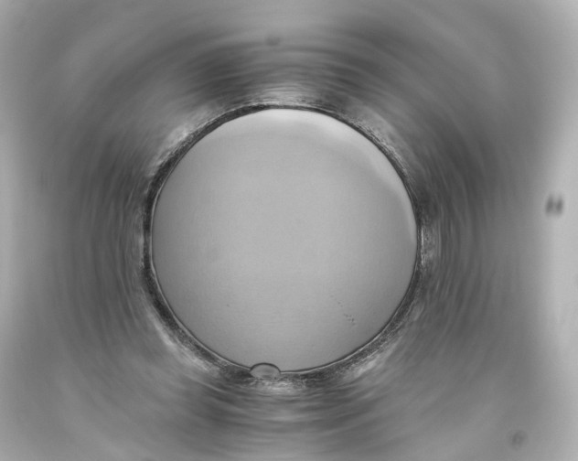 X0000093610349200711051224