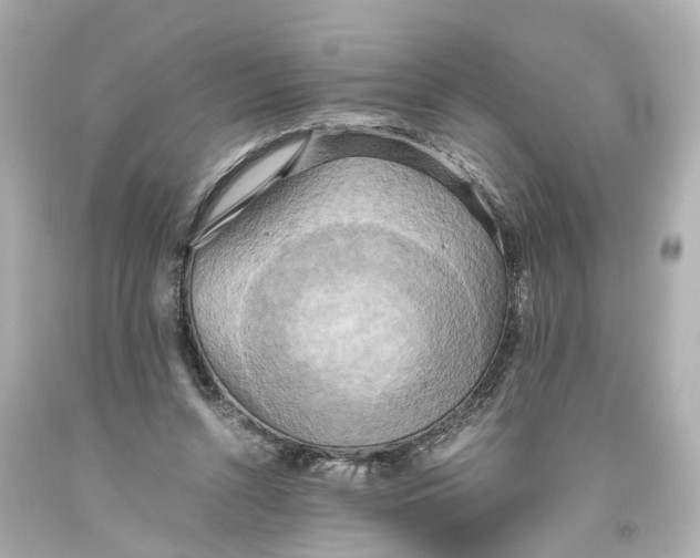 X0000093610352200711051224