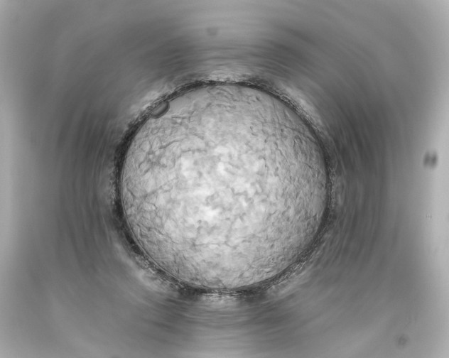X0000093610354200711051224