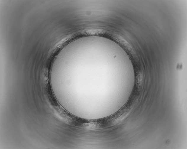 X0000093610356200711051224