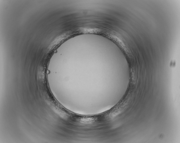 X0000093610357200711051224