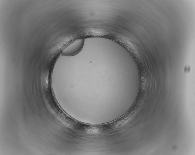 X0000093610358200711051224