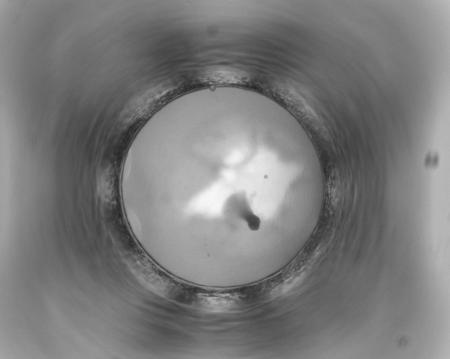 X0000093610359200711051224