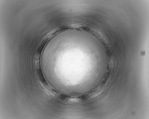 X0000093610360200711051224