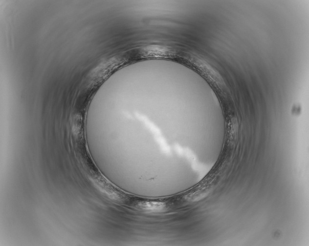 X0000093610361200711051224