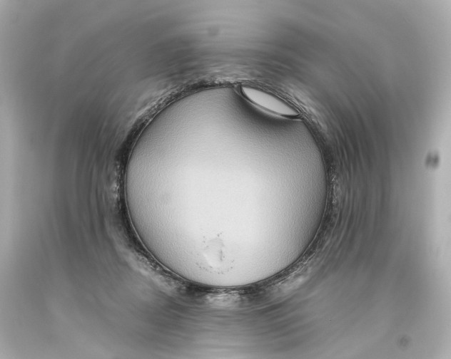 X0000093610362200711051224
