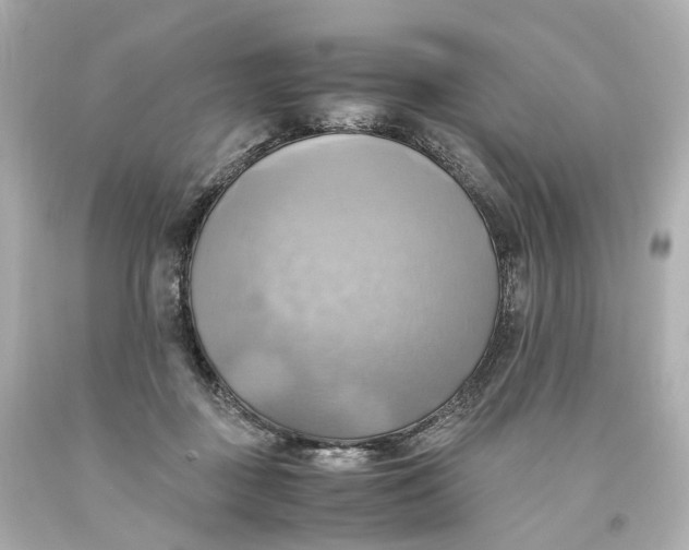 X0000093610363200711051224
