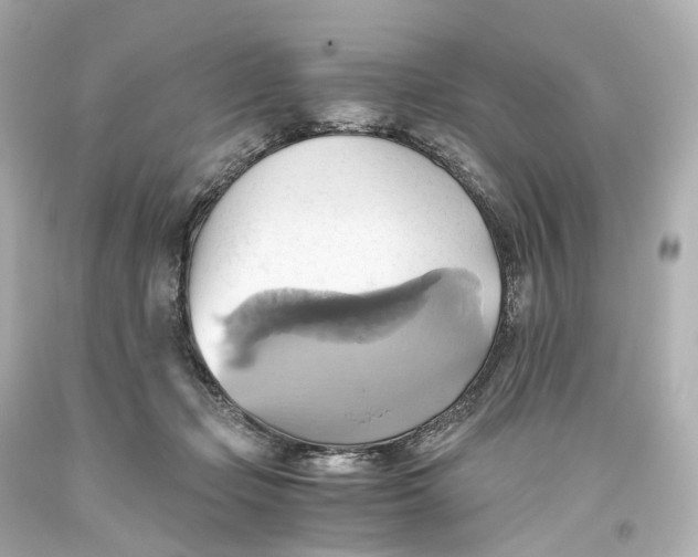 X0000093610365200711051224