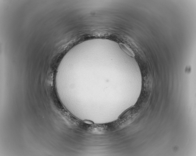 X0000093610368200711051224