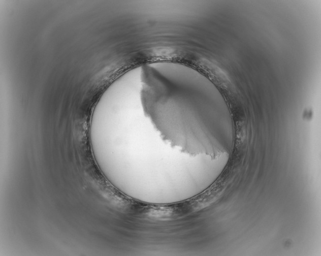 X0000093610369200711051224
