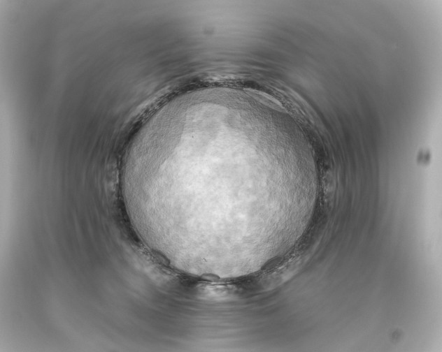 X0000093610372200711051224