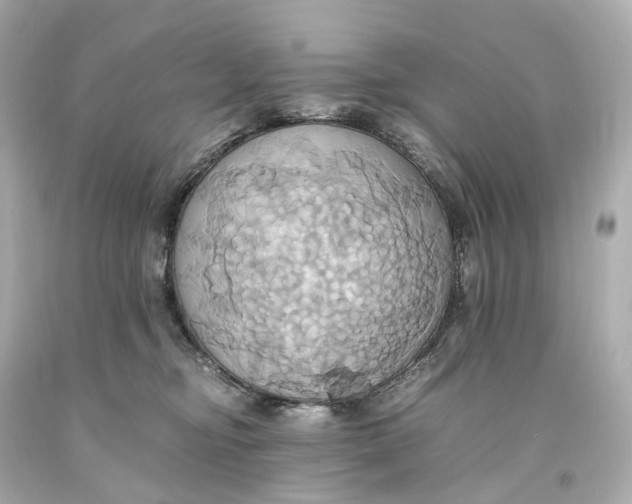 X0000093610374200711051224