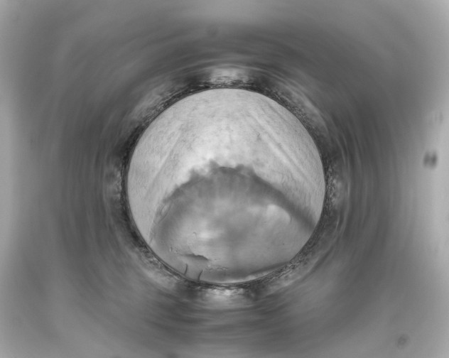 X0000093610375200711051224